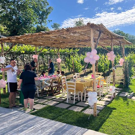 Bed and Breakfast Il Vigneto Di Nonno Pietro Agerola Esterno foto