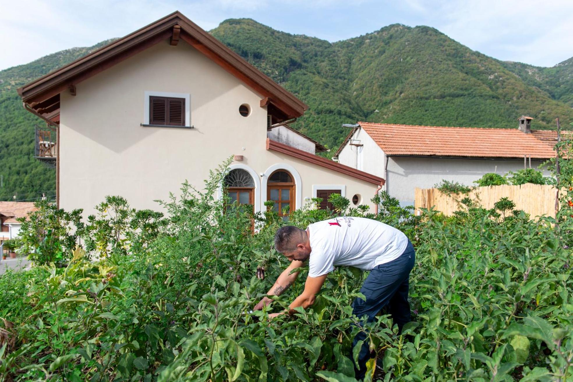 Bed and Breakfast Il Vigneto Di Nonno Pietro Agerola Esterno foto