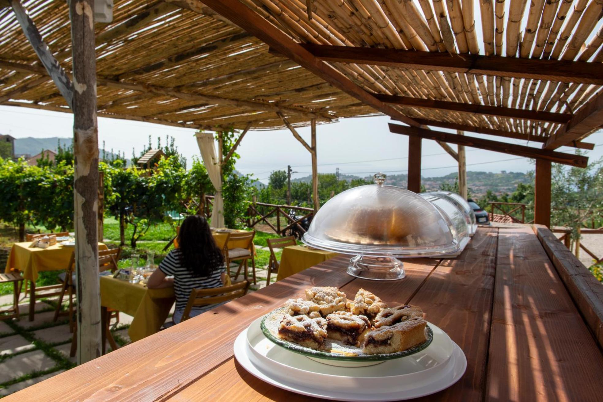 Bed and Breakfast Il Vigneto Di Nonno Pietro Agerola Esterno foto