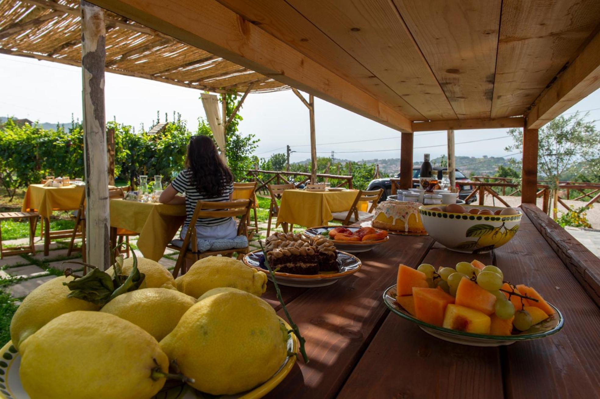 Bed and Breakfast Il Vigneto Di Nonno Pietro Agerola Esterno foto