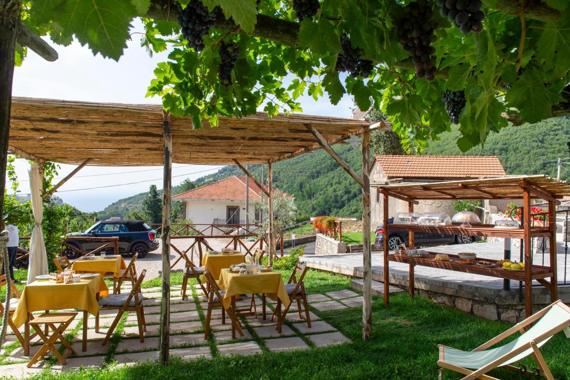 Bed and Breakfast Il Vigneto Di Nonno Pietro Agerola Esterno foto