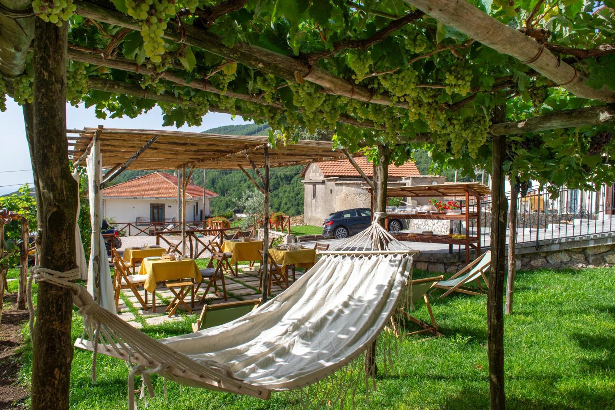 Bed and Breakfast Il Vigneto Di Nonno Pietro Agerola Esterno foto