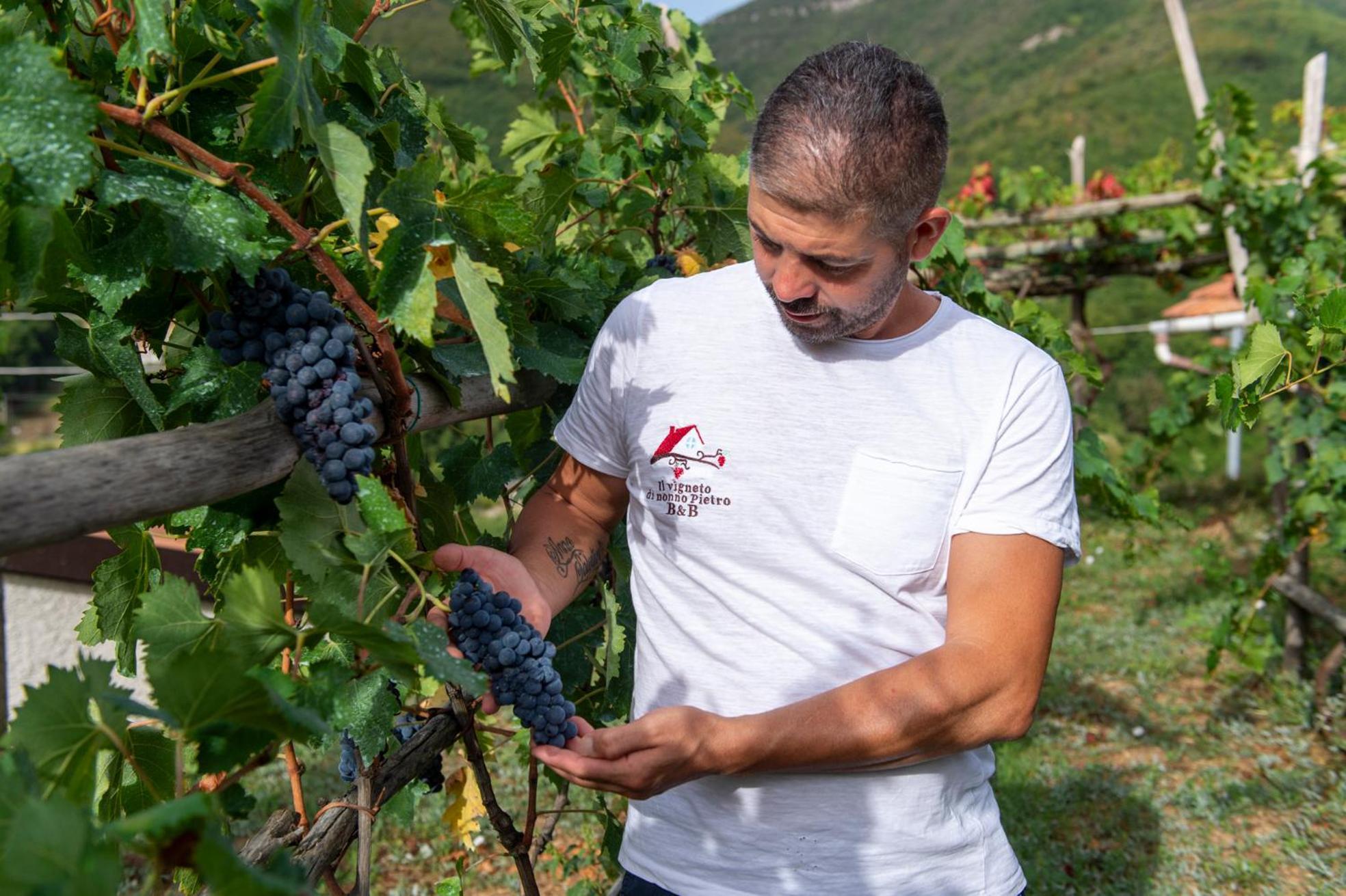 Bed and Breakfast Il Vigneto Di Nonno Pietro Agerola Esterno foto