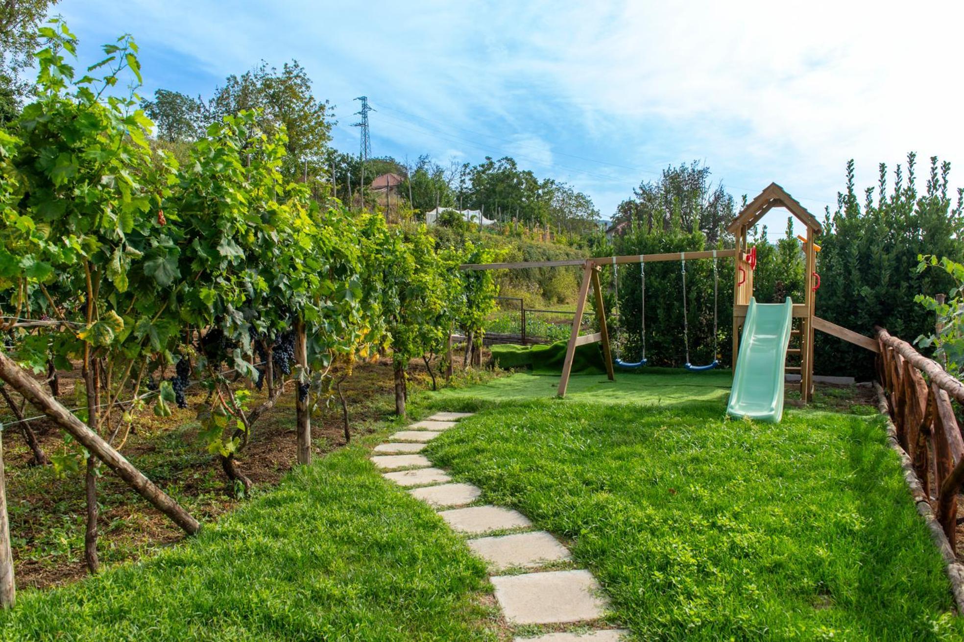 Bed and Breakfast Il Vigneto Di Nonno Pietro Agerola Esterno foto