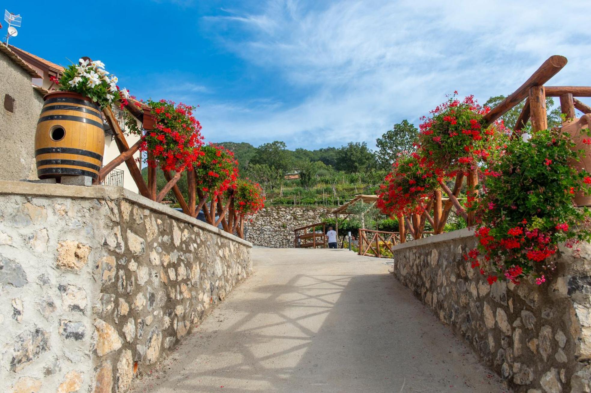 Bed and Breakfast Il Vigneto Di Nonno Pietro Agerola Esterno foto