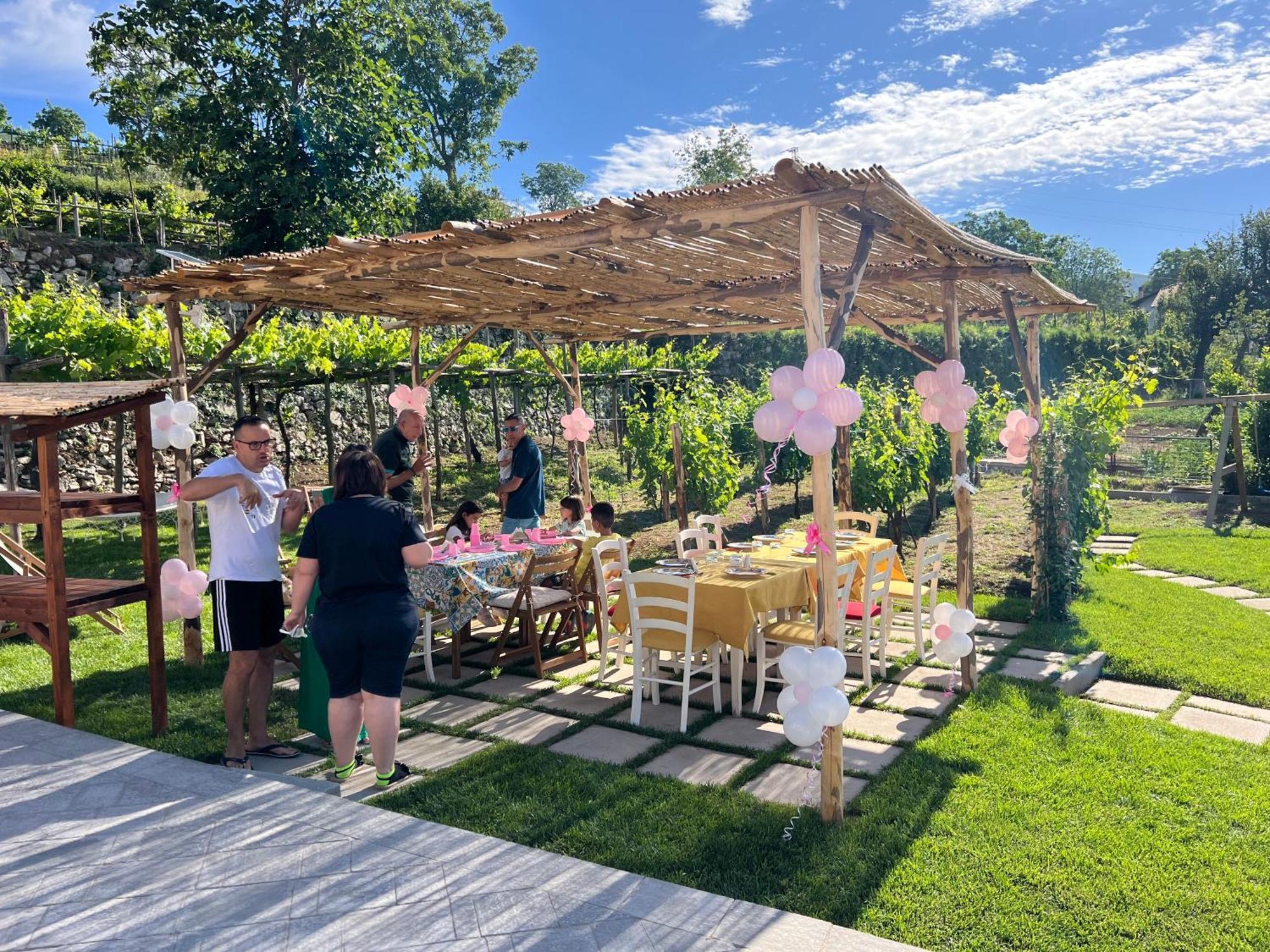 Bed and Breakfast Il Vigneto Di Nonno Pietro Agerola Esterno foto