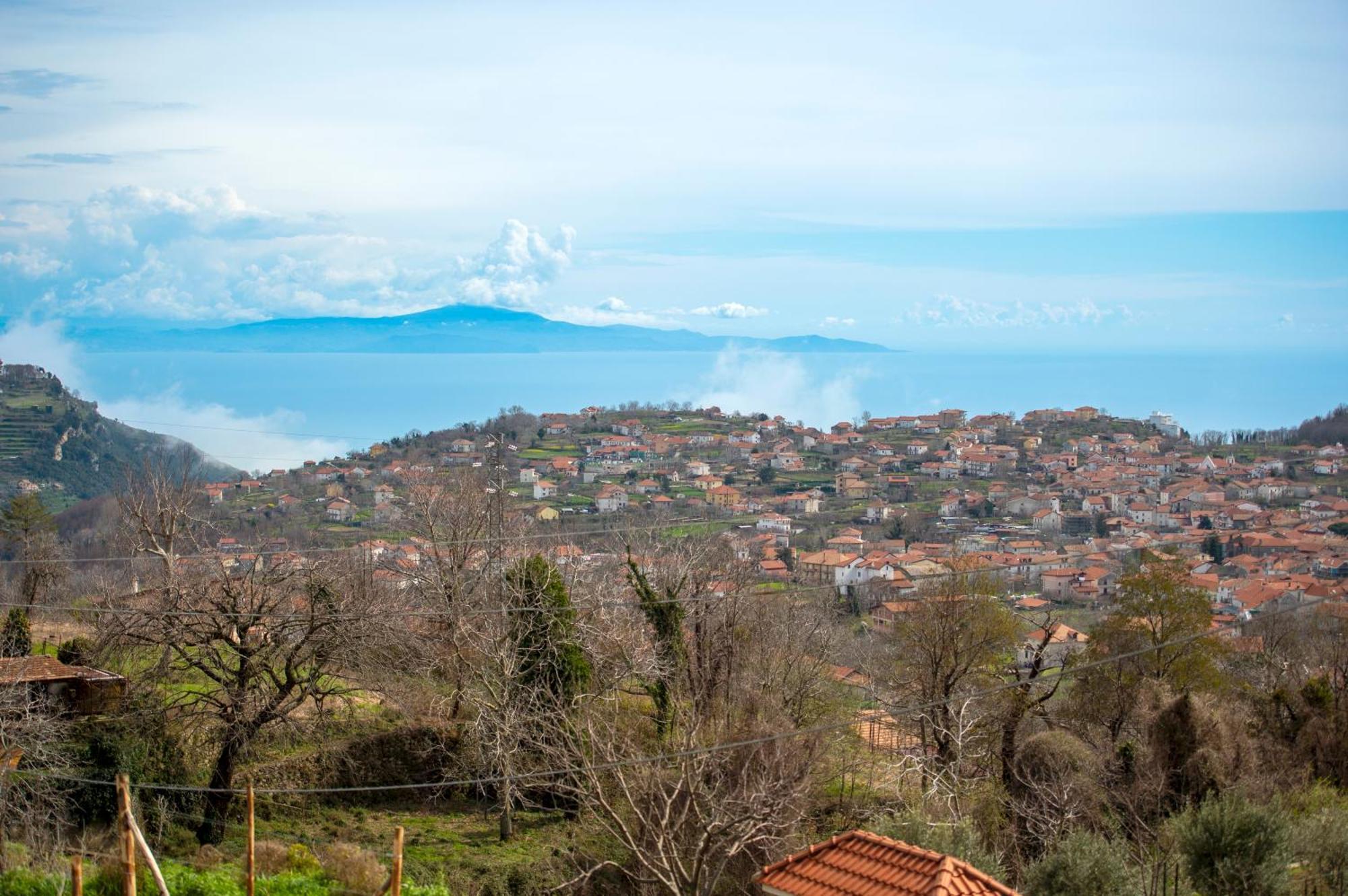 Bed and Breakfast Il Vigneto Di Nonno Pietro Agerola Esterno foto
